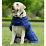 Weatherbeeta ComFiTec Deluxe Diamond Quilt Dog Coat