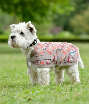Weatherbeeta ComFiTec Essential Dog Coat - Dachshund