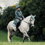 LeMieux Young Rider All Elements Coat Petrol