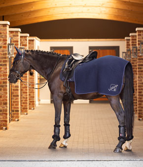 LeMieux Clima-Tek Exercise Quarter Sheet - Navy