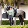 LeMieux Merino Plus Suede Dressage Square - Fern