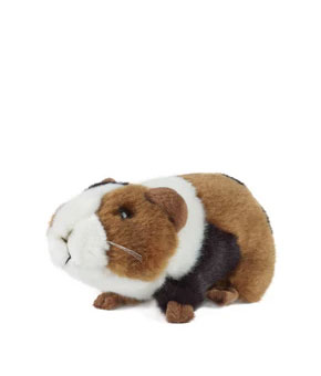 Living Nature - Guinea Pig Living Nature - Guinea Pig