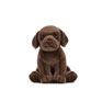 Living Nature - Chocolate Labrador Puppy