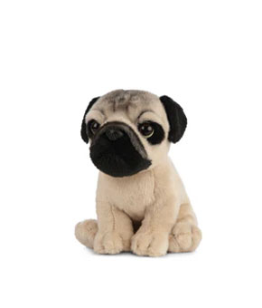 Living Nature - Pug Puppy Living Nature - Pug Puppy