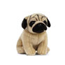 Living Nature Pug