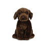Living Nature - Chocolate Labrador
