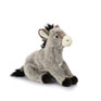 Living Nature - Donkey