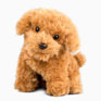 Living Nature - Cavapoo