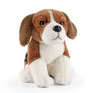 Living Nature - Beagle