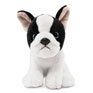 Living Nature - French Bulldog Puppy Black And White