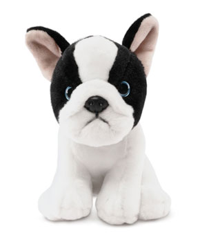 Living Nature - French Bulldog Puppy Black And White Living Nature - French Bulldog Puppy Black And White