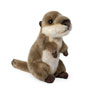 Living Nature - Sitting Small Otter