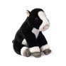 Living Nature Lying Freian Calf