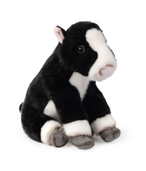 Living Nature Lying Freian Calf