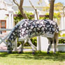 Equilibrium Field Relief Fly Rug