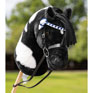 LeMieux Hobby Horse Showing Bridle - Black