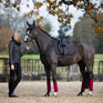 LeMieux Suede Dressage Square - Cinder