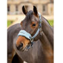 LeMieux Vogue Headcollar & Leadrope - Petrol