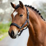LeMieux Logo Headcollar - Cinder