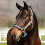 LeMieux Logo Headcollar - Glacier