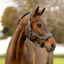 LeMieux Soft Shell Headcollar - Petrol