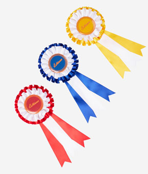 LeMieux Hobby Horse Rosette Pack Multi LeMieux Hobby Horse Rosette Pack Multi