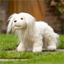 LeMieux Toy Puppy - Luna