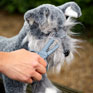 LeMieux Toy Puppy Grooming Kit Ice Blue