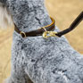 LeMieux Toy Puppy Collar & Lead - Ginger/Brown