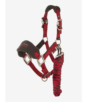 LeMieux Mini Vouge Headcollar - Ember LeMieux Mini Vouge Headcollar - Ember