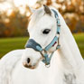 LeMieux Mini Vogue Headcollar - Glacier