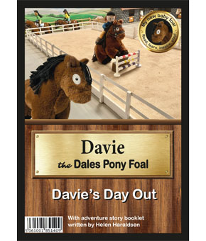 Crafty Pony My New Baby Foal Collection - Davie Dales