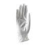 Aubrion Aachen Riding Gloves