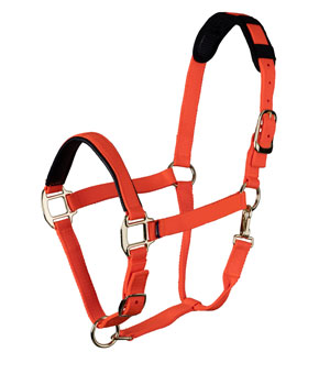Shires Equestrian Topaz Nylon Headcollar - Orange