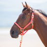 Shires Equestrian Topaz Nylon Headcollar - Orange