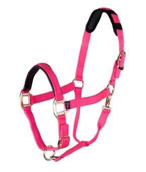 Shires Equestrian Topaz Nylon Headcollar - Pink