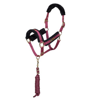 ARMA Logo Headcollar & Lead Rope - Burgundy