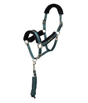 ARMA Logo Headcollar & Lead Rope - Green