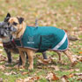 Digby & Fox Waterproof Dog Coat - Forest