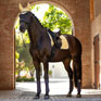 LeMieux Suede Dressage Square Mimosa