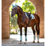 LeMieux Arika Mesh Brushing Boots Aqua