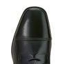 Ariat Palisade Field Tall Riding Boot Full/Short