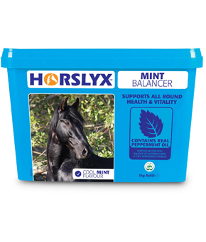 Horslyx Mint Balancer Horslyx Mint Balancer