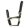 Hy Equestrian Leather Head Collar - Black
