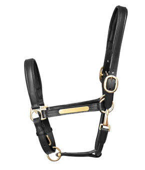 Hy Equestrian Leather Head Collar - Black Hy Equestrian Leather Head Collar - Black