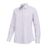 Hoggs Of Fife Becky II Ladies Cotton Shirt - Seafoam/Candy