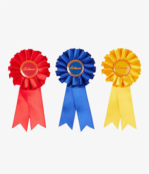 LeMieux Toy Pony Rosette Pack