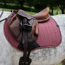 LeMieux Essence Eurojump Square Rosewood