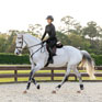 LeMieux Essence Eurojump Square Stone