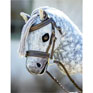 LeMieux Hobby Horse Hunter Bridle - Brown
